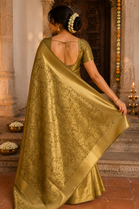 Olive Gold Saree with All-Over Zari Brocade